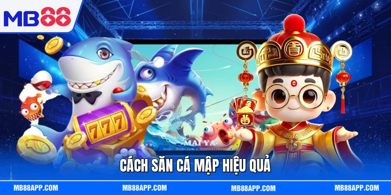 Cách săn cá mập hiệu quả 