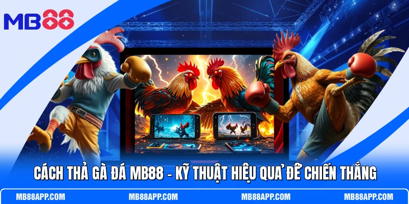 Cách Thả Gà Đá