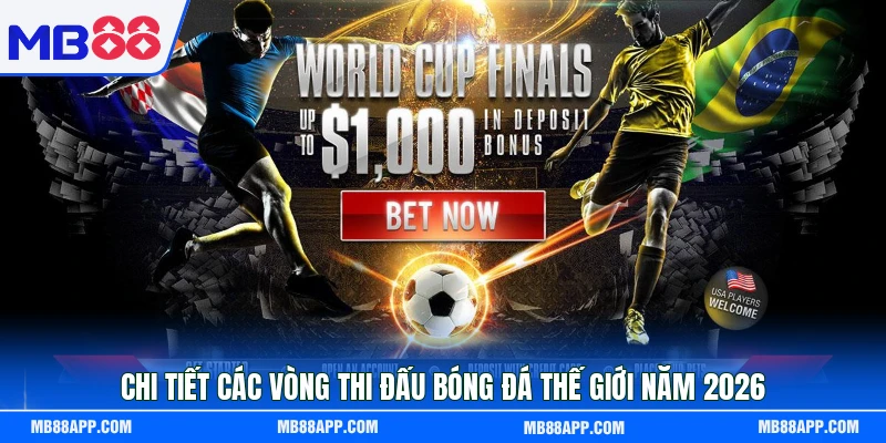 Chi tiết các vòng thi đấu bóng đá thế giới năm 2026