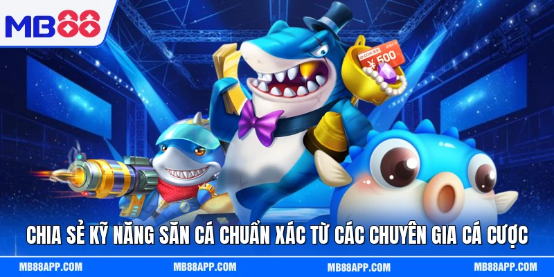 Chia sẻ kỹ năng săn cá chuẩn xác từ các chuyên gia cá cược