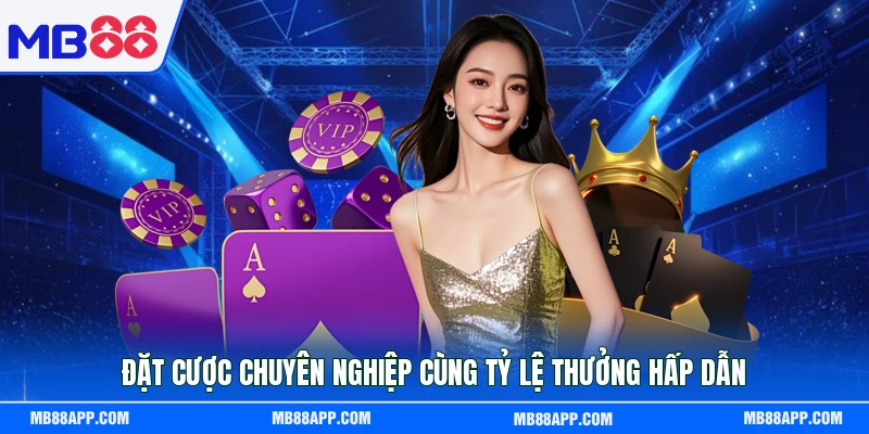 Đặt cược chuyên nghiệp cùng tỷ lệ thưởng hấp dẫn