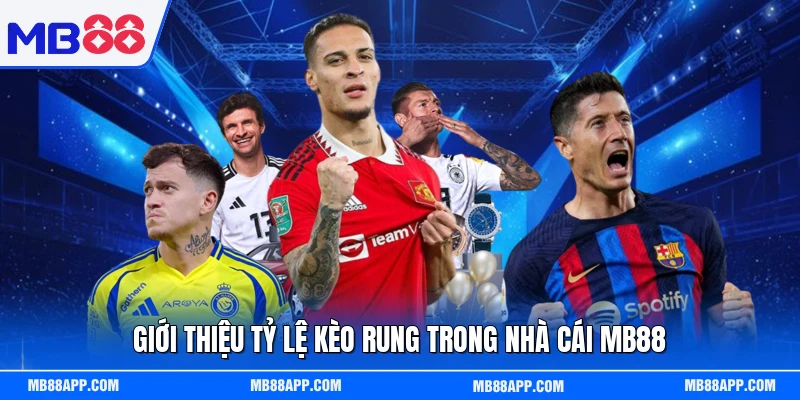 Giới thiệu tỷ lệ kèo rung trong nhà cái MB88