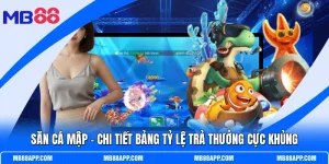 Săn Cá Mập