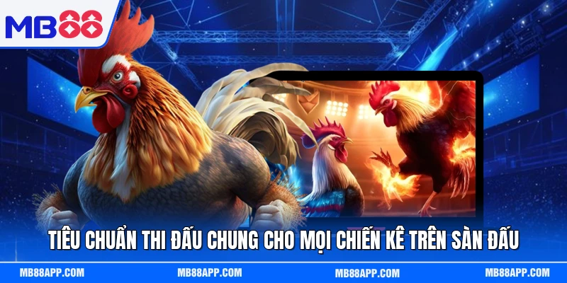 Tiêu chuẩn thi đấu chung cho mọi chiến kê trên sàn đấu