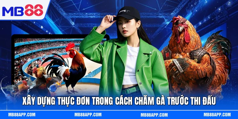 Xây dựng thực đơn trong cách chăm gà trước thi đấu